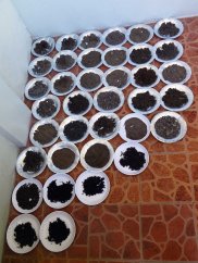 Initial sediment drying