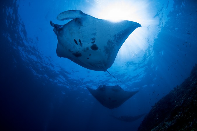 _MG_1792 as Smart Object-1.jpg