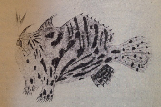 photo 2 - hairy frogfish