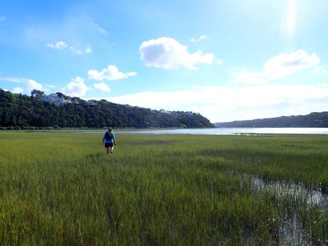 38704899_290774851475043_3374615427203203072_n