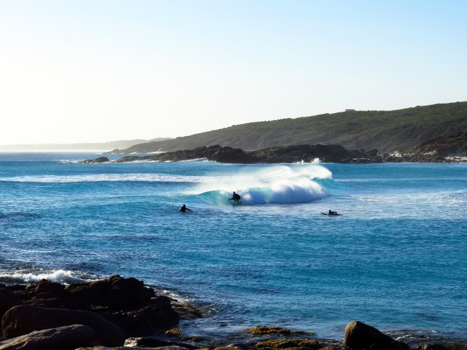 Surfing native dog beach