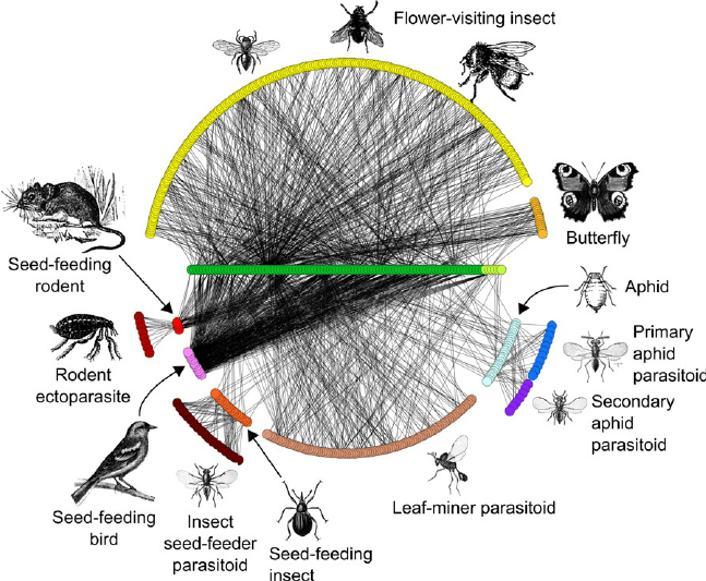 Species-interaction-networks-at-Norwood-Farm-Somerset-UK-revised-from-Pocock-et-al